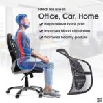 Seat Right Chair Back Support