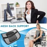 Seat Right Chair Back Support - Image 6