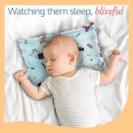 সরিষার বীজের বালিশ