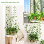 10 Pcs Plant Climbing Wall Fixture Clips (Self-Adhesive) - Image 2