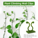 10 Pcs Plant Climbing Wall Fixture Clips (Self-Adhesive)