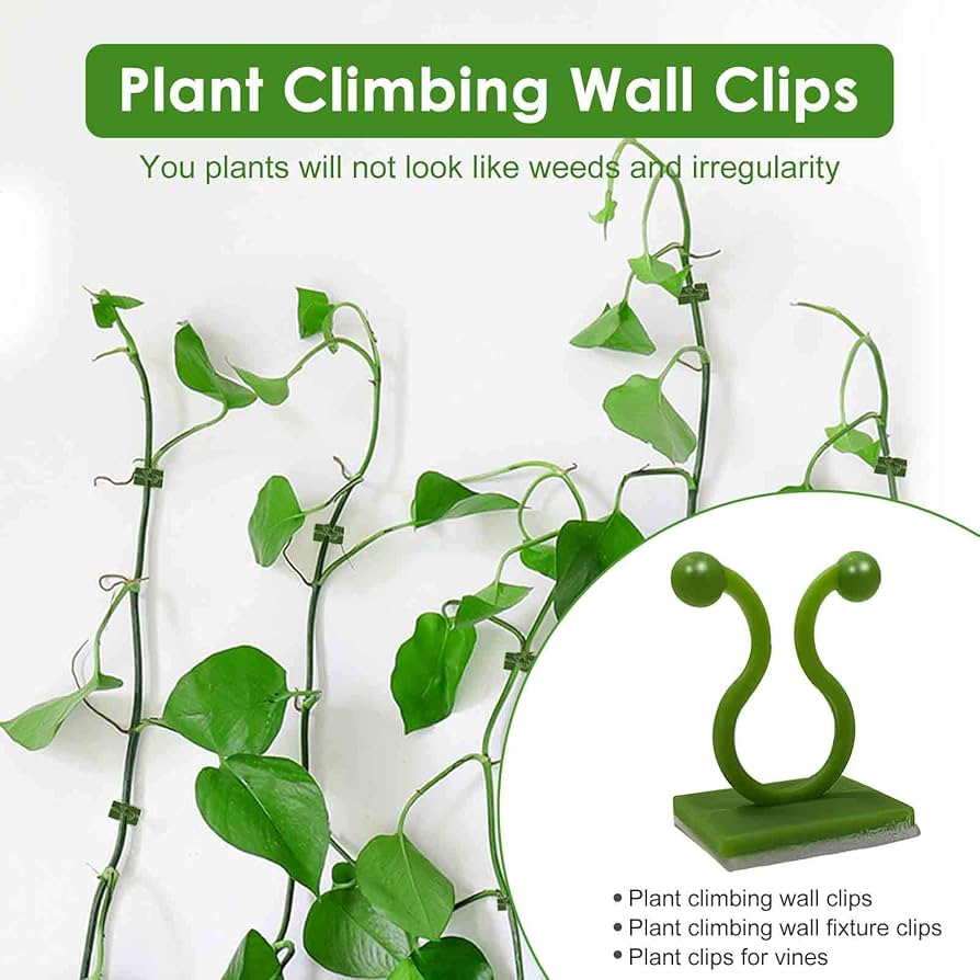 10 Pcs Plant Climbing Wall Clips 2 10 Pcs Plant Climbing Wall Fixture Clips (Self-Adhesive) - Image 1