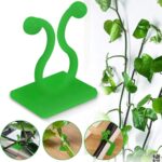 10 Pcs Plant Climbing Wall Fixture Clips (Self-Adhesive) - Image 6